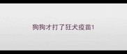 狗狗才打了狂犬疫苗