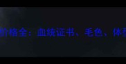 拉布拉多犬品相价格全血统证书毛色体型影响多少钱