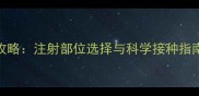 猫咪疫苗接种全攻略注射部位选择与科学接种指南附详细图解