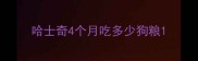 哈士奇4个月吃多少狗粮
