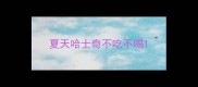 夏天哈士奇不吃不喝
