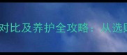 边境牧羊犬公母毛发长短对比及养护全攻略从选购到日常护理的完整指南