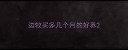 边牧买多几个月的好养
