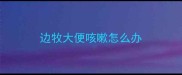 边牧大便咳嗽怎么办