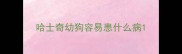 哈士奇幼狗容易患什么病