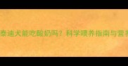 三个月泰迪犬能吃酸奶吗科学喂养指南与营养建议