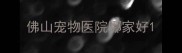 佛山宠物医院哪家好