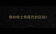 狼和哈士奇尾巴的区别