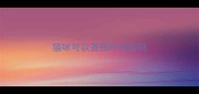 猫咪可以直接打疫苗吗
