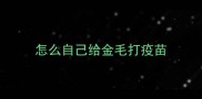 怎么自己给金毛打疫苗