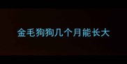 金毛狗狗几个月能长大