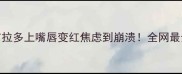 救命我家拉布拉多上嘴唇变红焦虑到崩溃全网最全护理指南来了