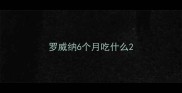 罗威纳6个月吃什么