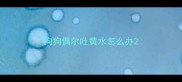 狗狗偶尔吐黄水怎么办