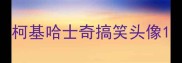 柯基哈士奇搞笑头像