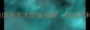 边牧能吃米饭吗边境牧羊犬饮食指南米饭的利弊与科学喂养方案