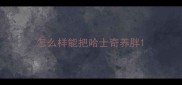 怎么样能把哈士奇养胖
