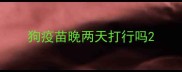 狗疫苗晚两天打行吗