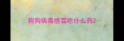 狗狗病毒感冒吃什么药