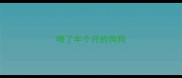 喂了半个月的狗狗