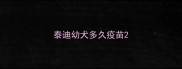 泰迪幼犬多久疫苗
