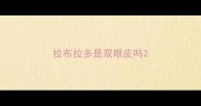 拉布拉多是双眼皮吗