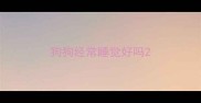 狗狗经常睡觉好吗