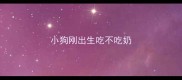 小狗刚出生吃不吃奶