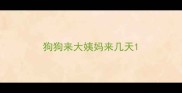 狗狗来大姨妈来几天