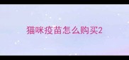 猫咪疫苗怎么购买