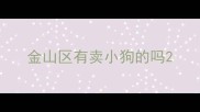 金山区有卖小狗的吗