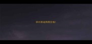 崇州泰迪狗狗价格