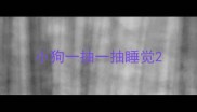 小狗一抽一抽睡觉