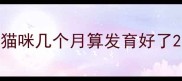 猫咪几个月算发育好了