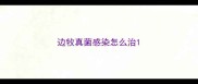 边牧真菌感染怎么治