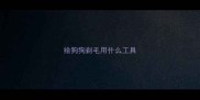 给狗狗剃毛用什么工具