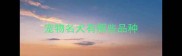 宠物名犬有那些品种