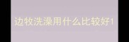 边牧洗澡用什么比较好