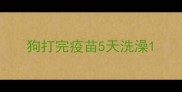 狗打完疫苗5天洗澡