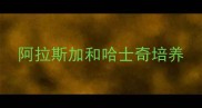 阿拉斯加和哈士奇培养