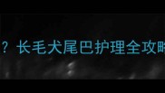 泰迪犬断尾争议大长毛犬尾巴护理全攻略附专业训练指南