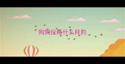 狗狗拉稀什么样的