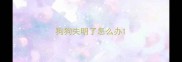 狗狗失明了怎么办
