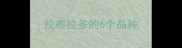 拉布拉多的6个品种