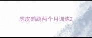 虎皮鹦鹉两个月训练