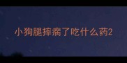小狗腿摔瘸了吃什么药