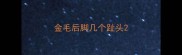 金毛后脚几个趾头