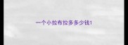 一个小拉布拉多多少钱