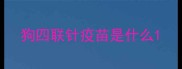 狗四联针疫苗是什么
