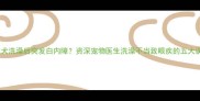 泰迪犬洗澡后突发白内障资深宠物医生洗澡不当致眼疾的五大误区